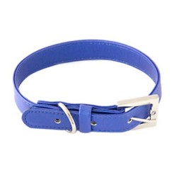 Dog Collars